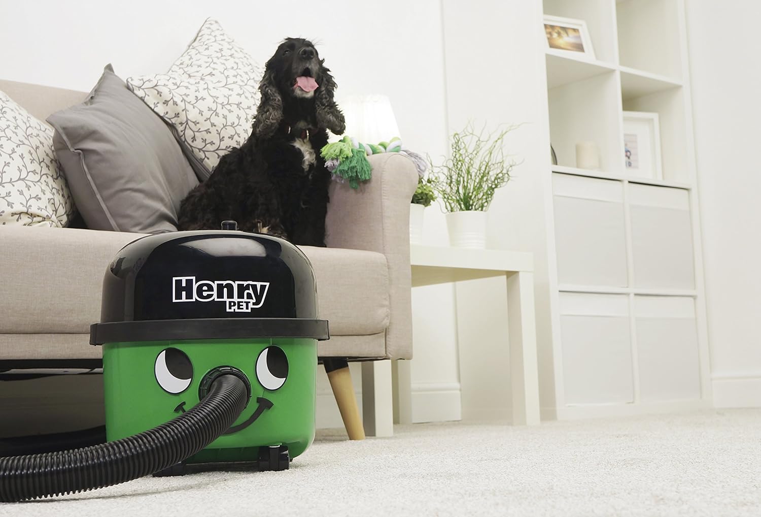 Henry Pet PET200 Bagged Cylinder Vacuum, 9 Litre, 620 Watt, Green.