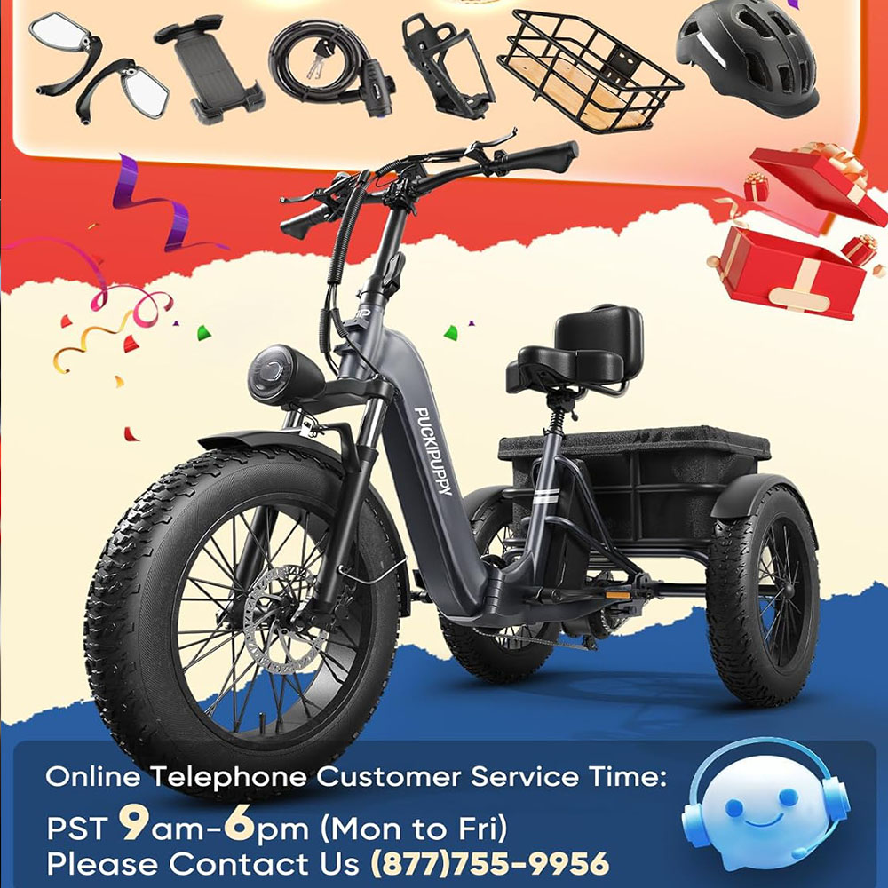 Electric Fat Trike 48V 1000W snowmobile Electric three-wheeled fat ebike 20-24inch